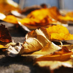 网站ddos隐藏源ip